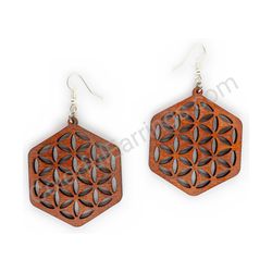 Earrings, ce00142
